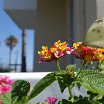 Andromeda Hotel Psalidi (Kos)