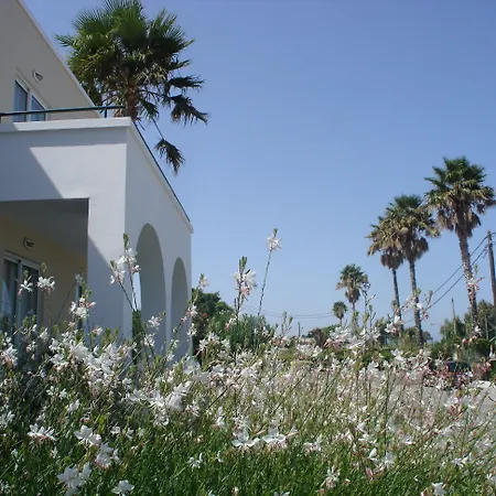 Andromeda Psalidi (Kos)