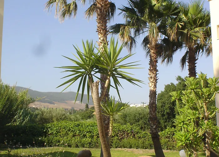 Andromeda 3* Psalidi (Kos)